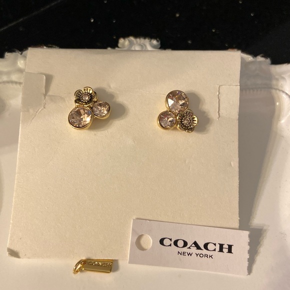 Coach Tea Rose Mini Pink Crystal Cluster Stud Post Earrings - Picture 6 of 12